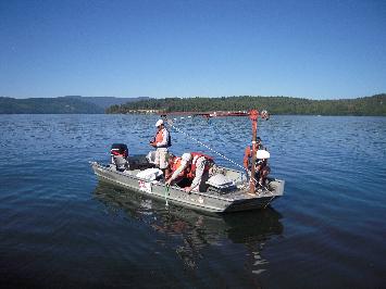 quagga mussels